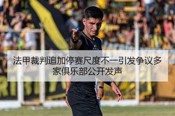 法甲裁判追加停赛尺度不一引发争议多家俱乐部公开发声